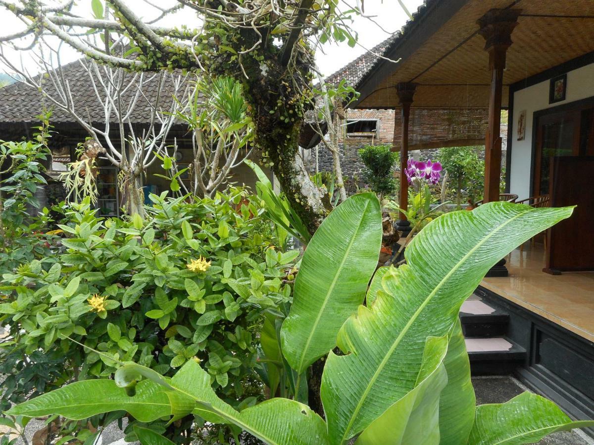 Milla Homestay Сидемен Экстерьер фото