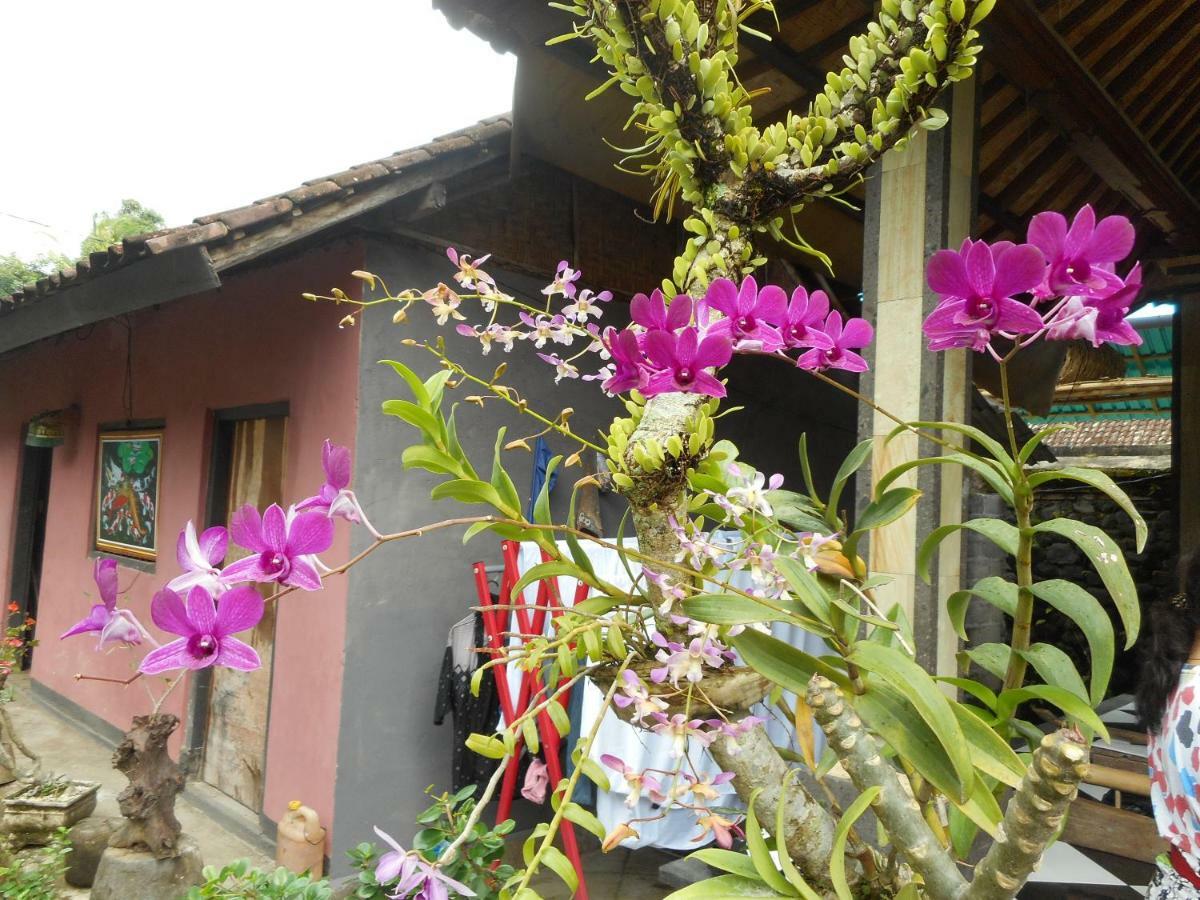 Milla Homestay Сидемен Экстерьер фото